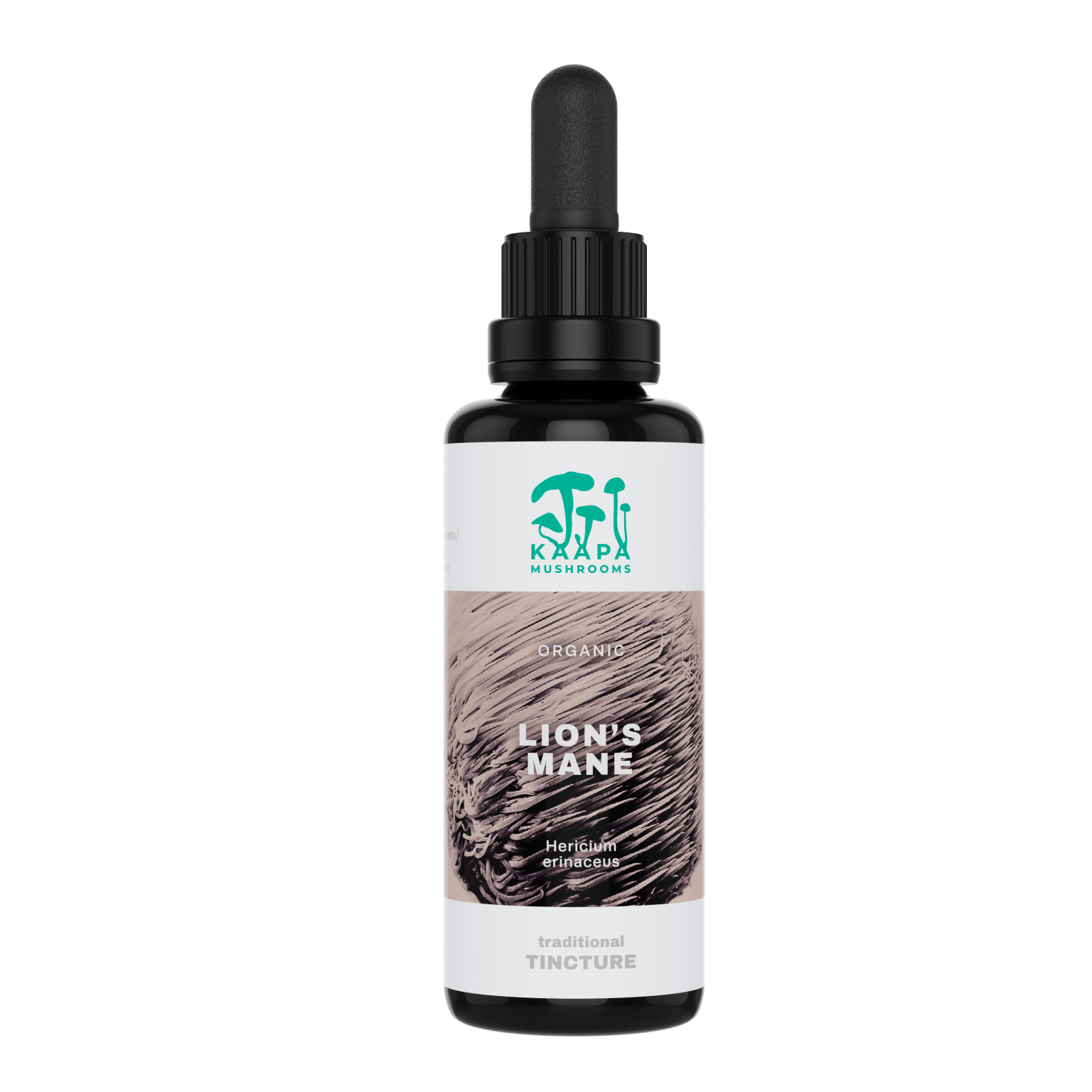 Lion’s Mane Tinktuura 30 ml