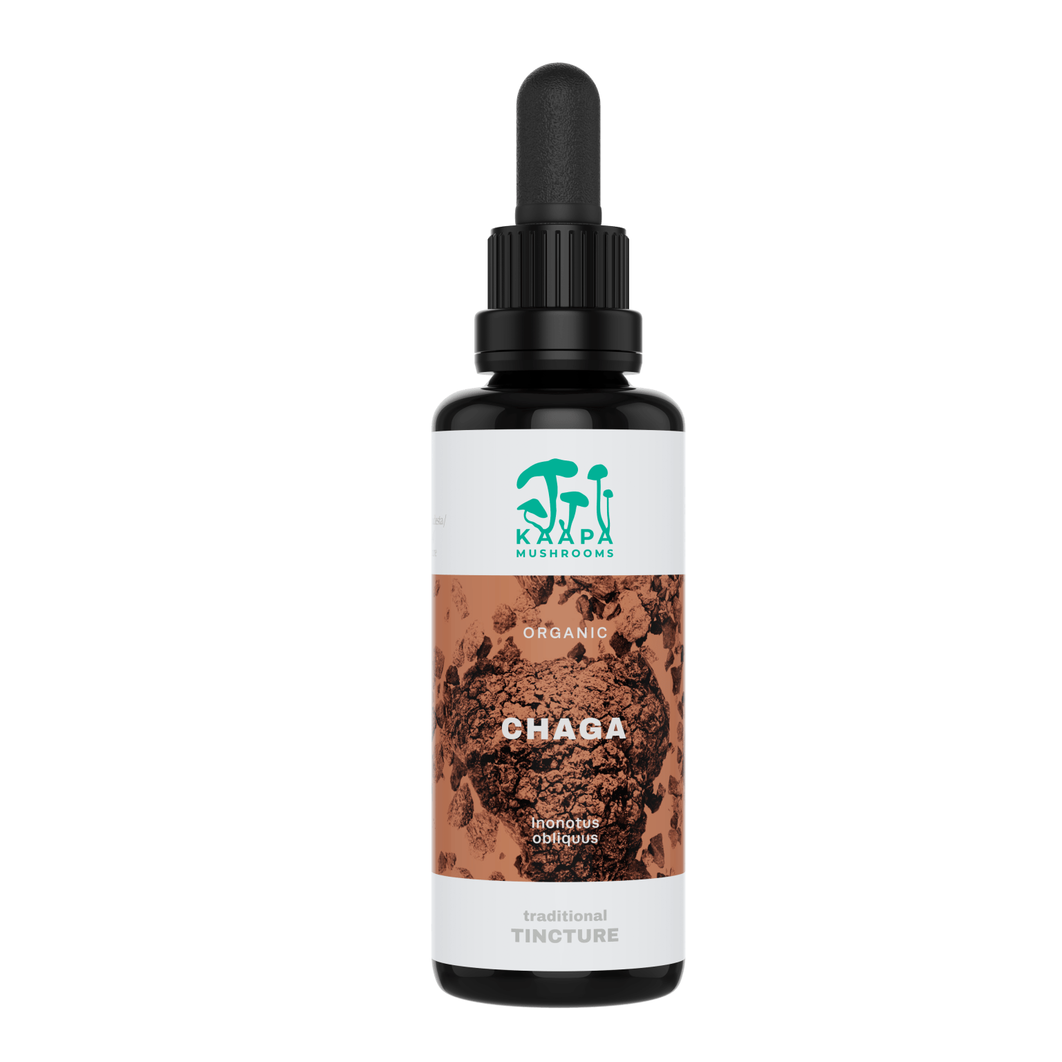 Chaga Tincture 30 ml