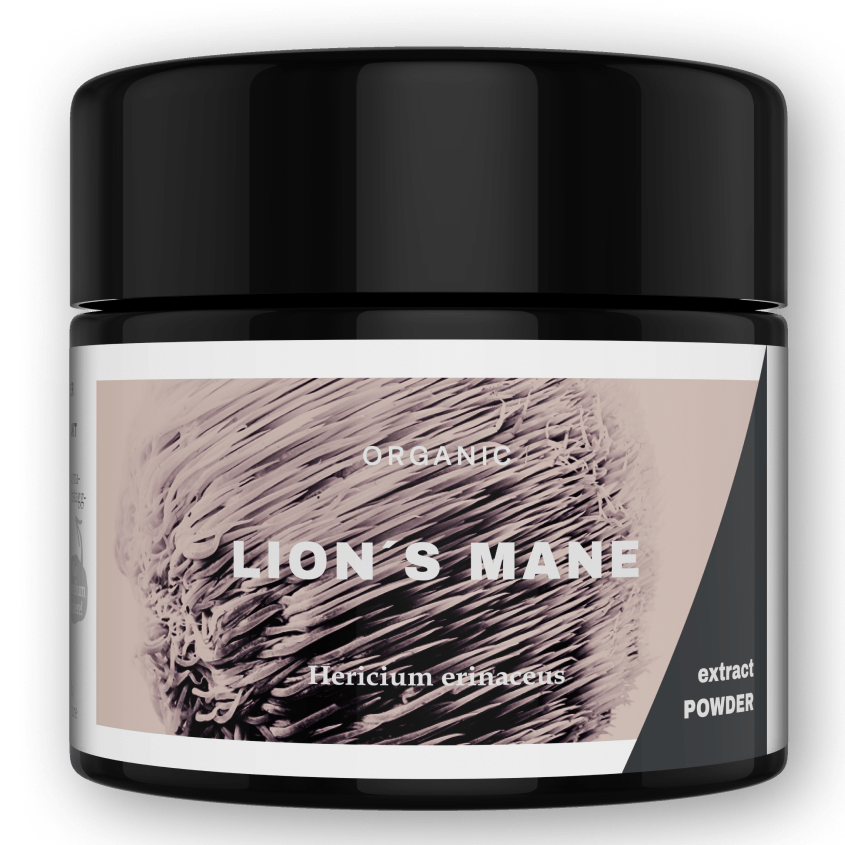 Lion's Mane Extract Powder